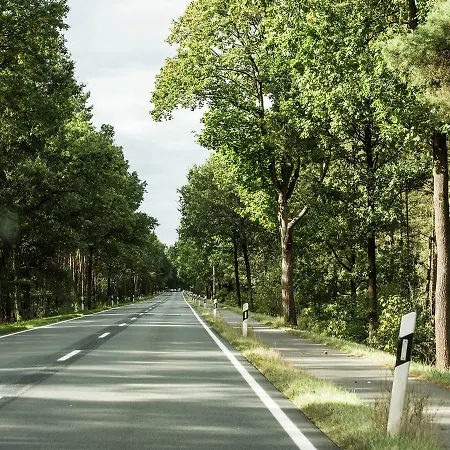 Peaceful In Near The Forest شقة سيل